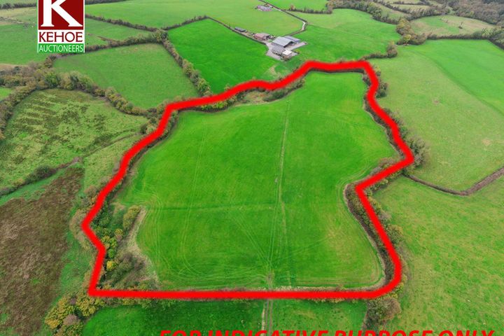 Ardenteggle, Killeshin, Carlow (, Co. Laois