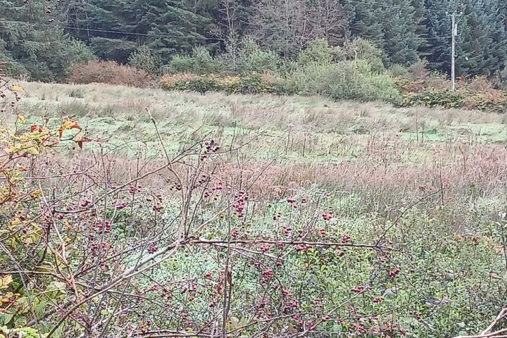 Glencollins, Ballydesmond, Co. Cork