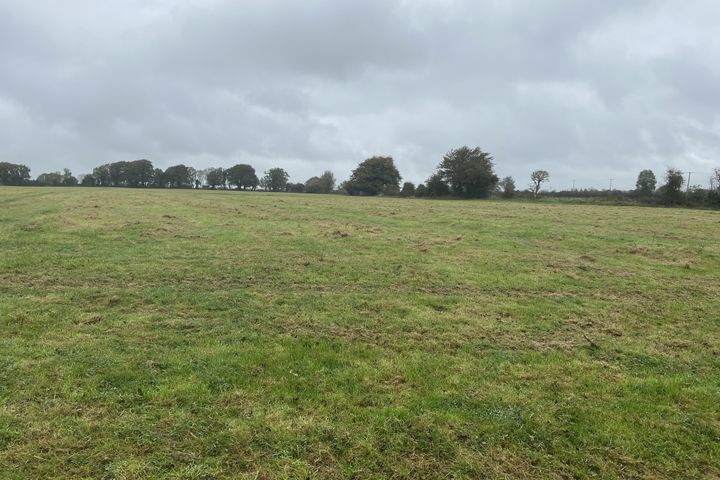 Ballymackey, Nenagh, Co. Tipperary
