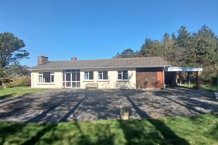 Natterjack,Dooks, Glenbeigh, Co. Kerry, V93N6W2