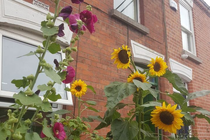 Reuben Avenue, Dublin 8