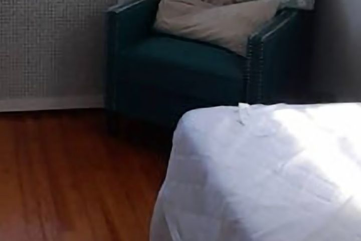 Skeaghanore West Cork Duck, Skeaghanore East, Ball, Ballydehob, Co. Cork