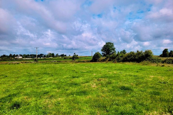 Gortnagoyne, Ballinagare, Co. Roscommon