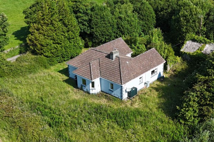 Mountplunkett, Lecarrow, Co. Roscommon, F42V271