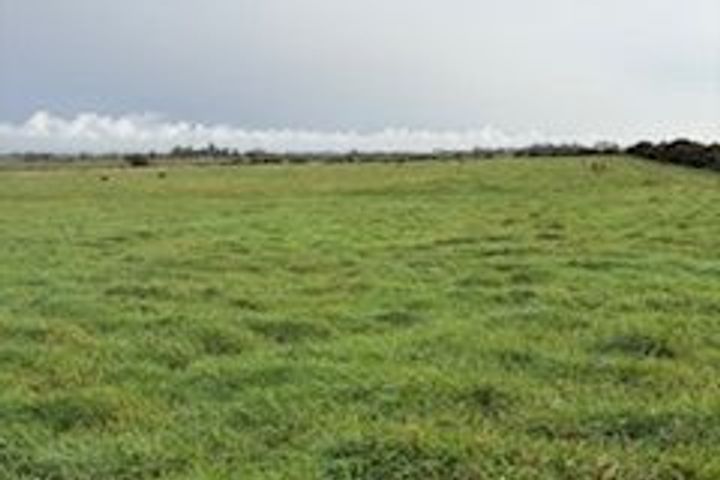 Rathduff, Balla, Castlebar, Mayo, Co. Mayo, F23VY64