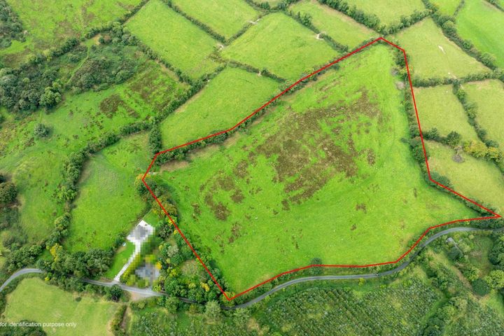 13.1 Acres @ Pollamalady, Ballyjamesduff, Co. Cavan
