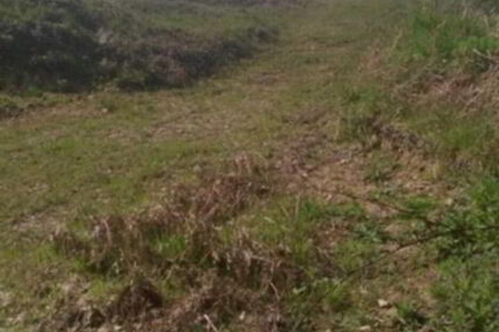 Knocknagorthna, Athea, Co. Limerick