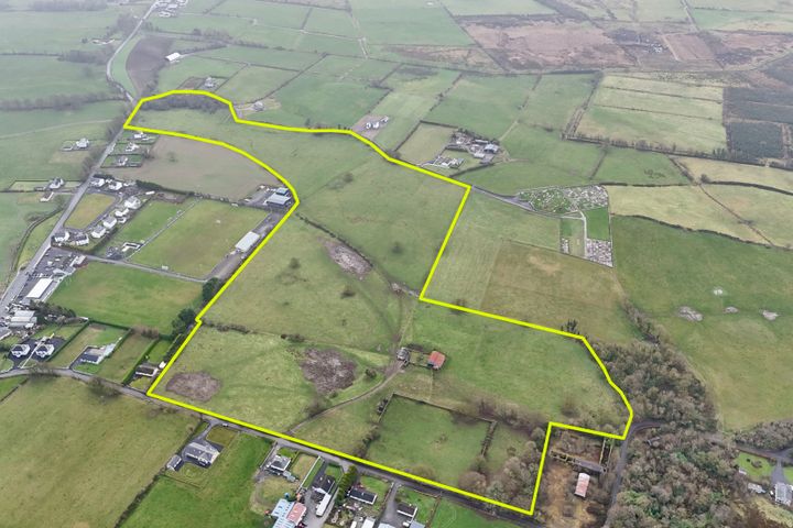 45.3 Acres (approx.) at Clonberne Village, Ballinasloe, Co. Galway