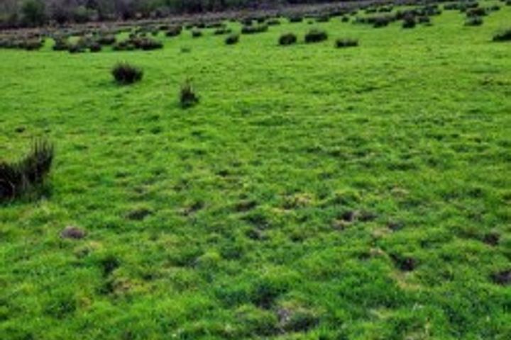 Rathroe, Elphin, Co. Roscommon