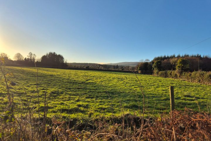 Catholes, Ballyhuppahane, Co. Laois