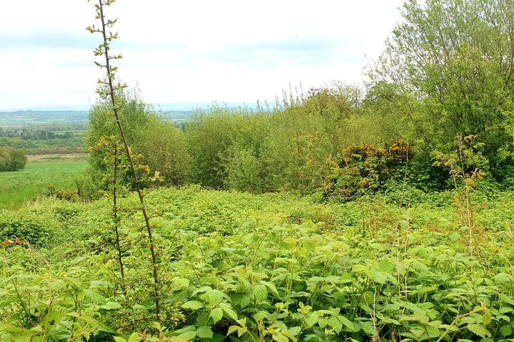 Skehanagh, Ballingarry, Co. Tipperary