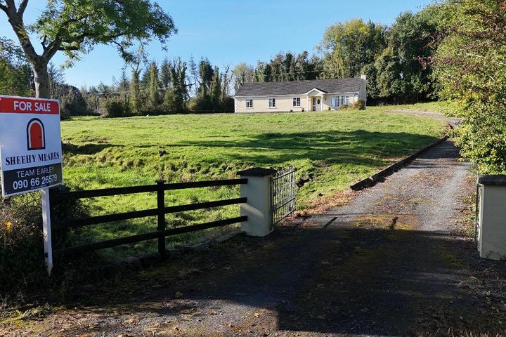 Lavagh, Rooskey, Co. Roscommon, N41Y981