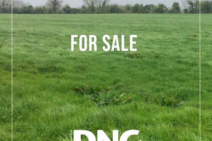C.6 Acres at Boggan, Moynalty, Kells, Co. Meath