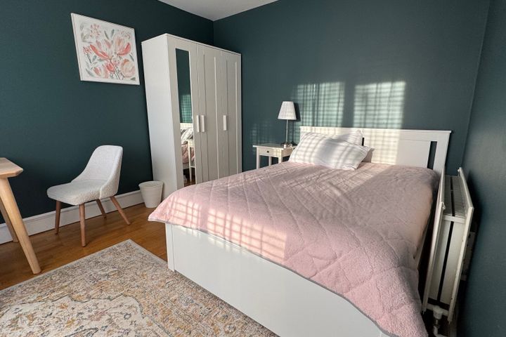 Ballintyre Woods, Dublin 16, Ballinteer, Dublin 16