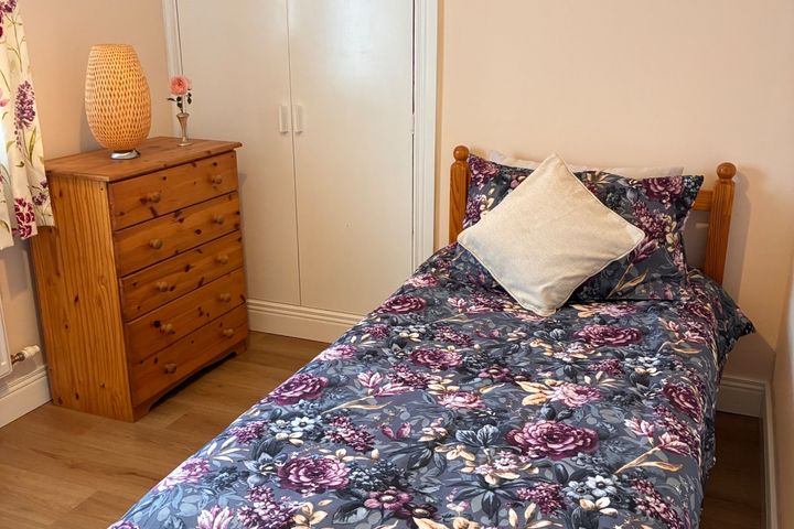 The Orchard, Burrin Road, Paupish, Carlow, Carlow Town, Co. Carlow