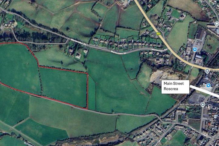 Approx. 22.96 Acres Chapel Lane, Roscrea, Co. Tipperary