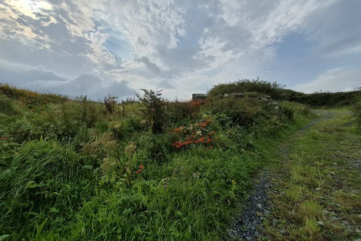 Cloonty, Killadoon, Co. Mayo