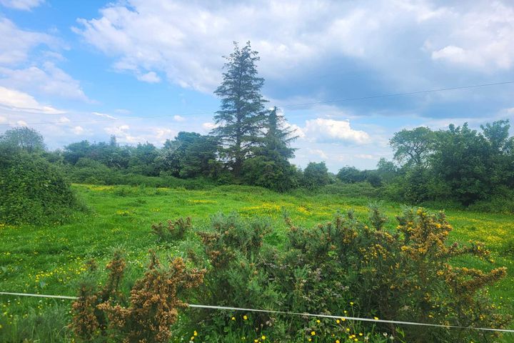 Development Site, Tuamgraney, Co. Clare