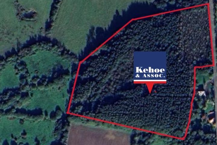 3.31 Hectares / 8.17 Acres Coolamain, Oilgate, Co. Wexford