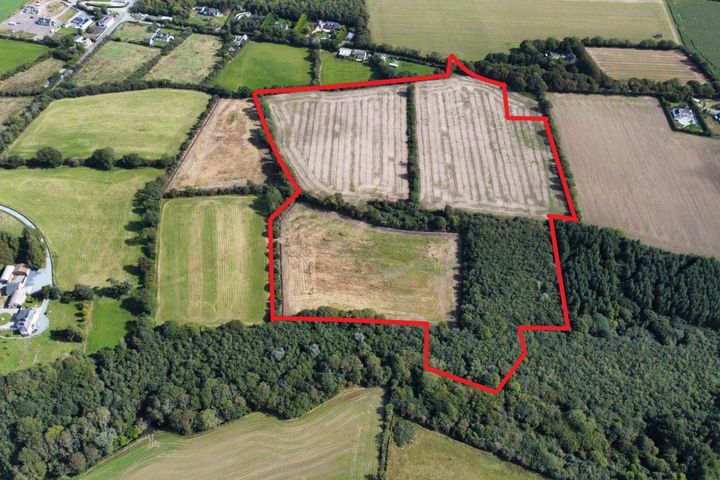 c. 26 Acres Holding at Tullycanna, Ballymitty, Co. Wexford
