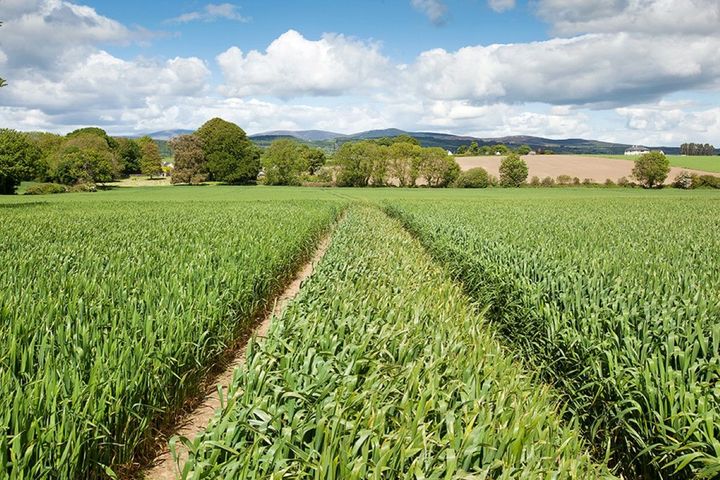 Circa 203 Acres Carriglea, Dungarvan, Co. Waterford