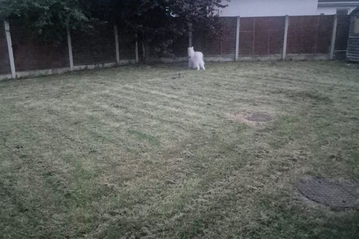 Phibblestown Wood,Phibblestown,Dublin 15, Ongar, Dublin 15