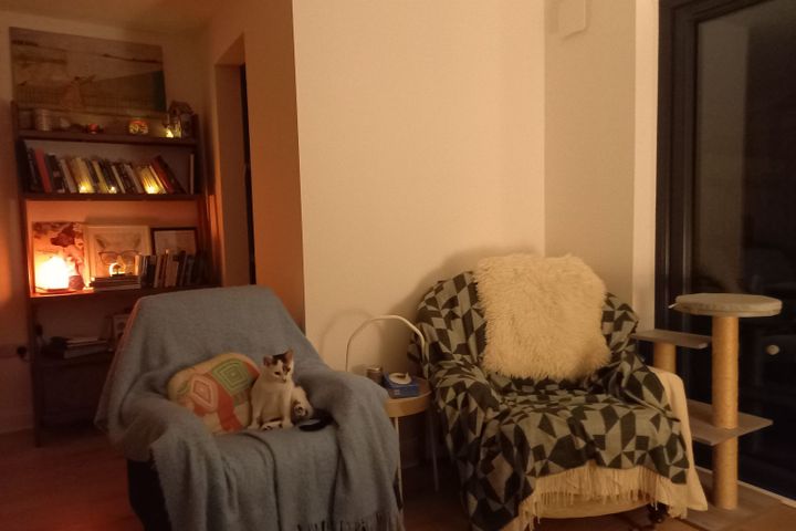 Bishopstown Road, Cork, Bishopstown, Co. Cork