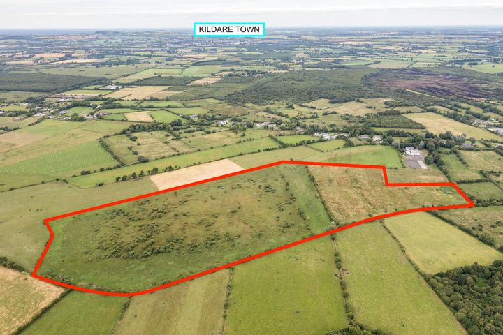 Walterstown Lower, Nurney, Kildare, Co. Kildare