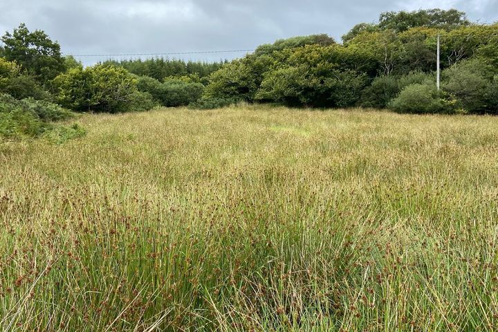 Letterkenny, Breenagh, Co. Donegal