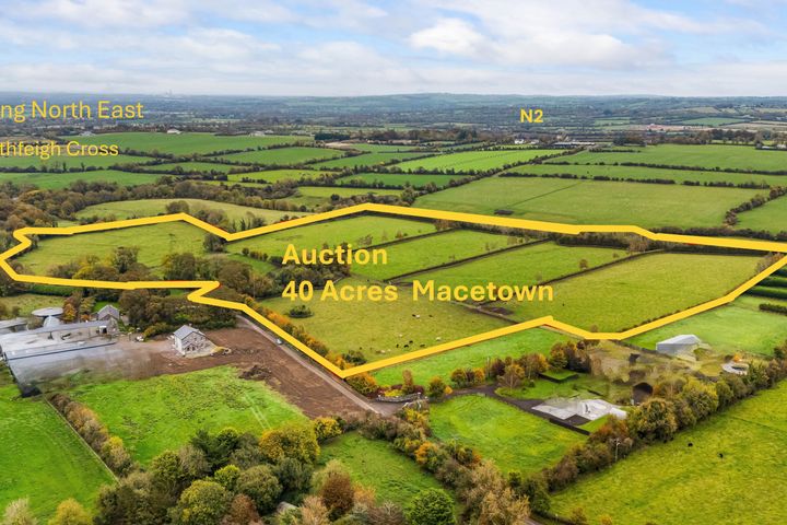 Macetown - Auction 40 Acres, Tara, Co. Meath