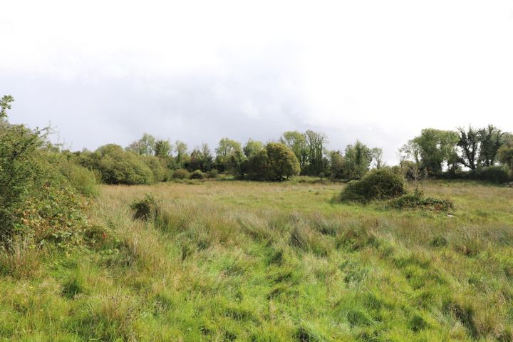 6.20 Acres, 6.20 Acres, Derrycallan South, Gort, Co. Galway