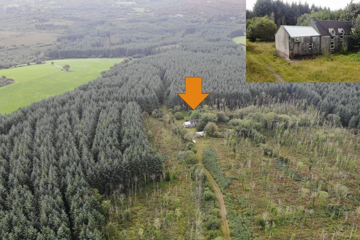 Haremount, Kilmichael, Kilmichael, Co. Cork, P12H599