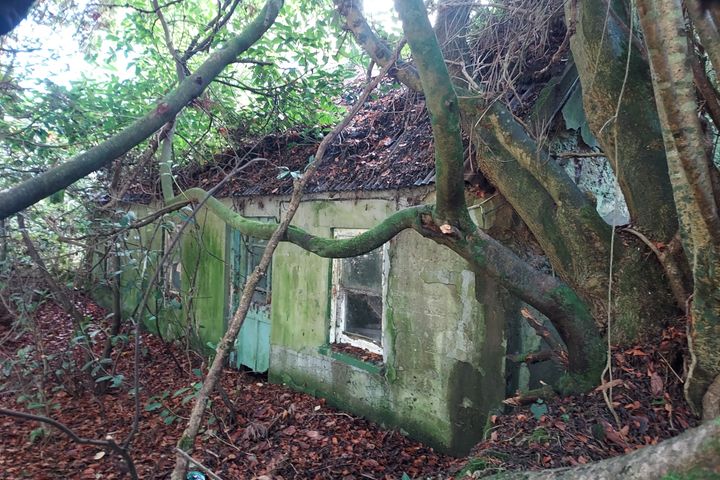 Nadd road, Banteer, Co. Cork