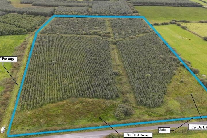 Cloonmore, Doonbeg, Co. Clare