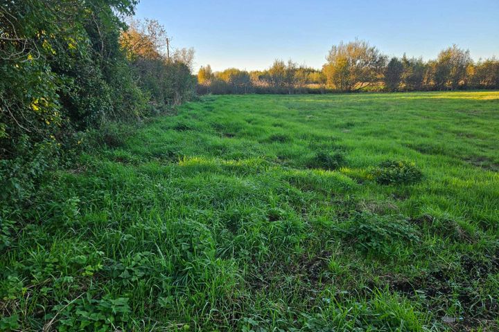 Cornacreevy, Finea, Co. Westmeath