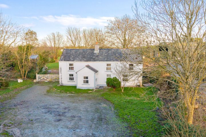Rambler Rose, Glenour, Adamstown, Co. Wexford, Y21DX74