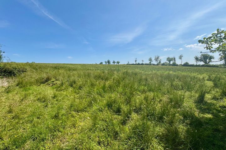 Drumharkan Glebe, Cloone, Co Leitrim, Cloone, Co. Leitrim