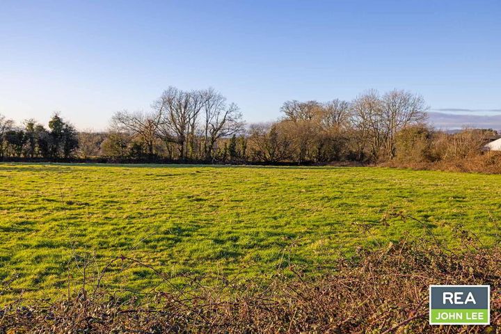 Gortnavarnogue, Newport, Co. Tipperary