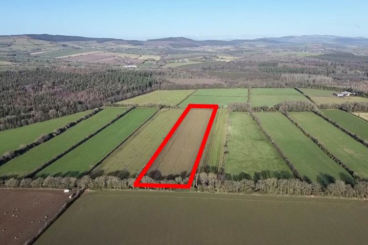 Camolin Park (C. 6.3 Acres), Camolin, Gorey, Co. Wexford