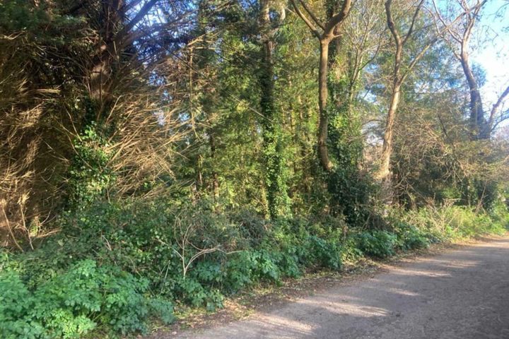 Three Mile Water, Brittas Bay, Co. Wicklow
