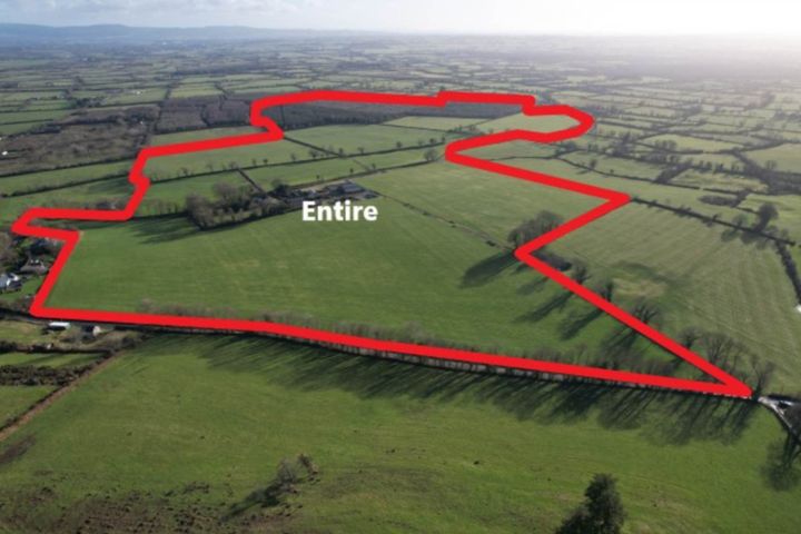 Garryfine Castle, Garryfine, Kilmallock, Co. Limerick, V35HX95