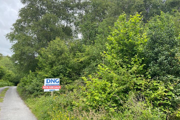 Rocks Road, Ballinahalla, Moycullen, Galway