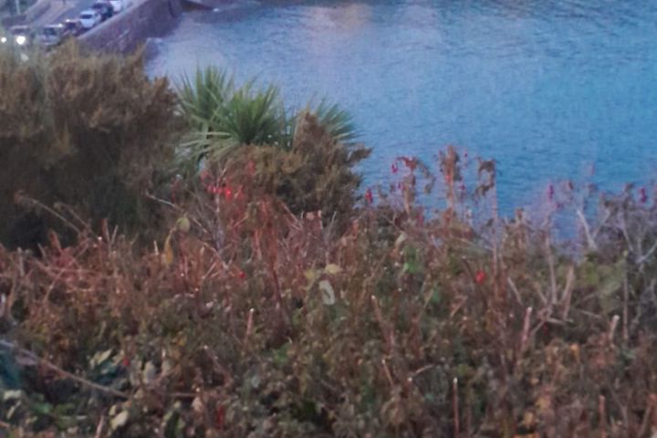 Fishermans Grove,Dunmore East,Waterford, Dunmore East, Co. Waterford
