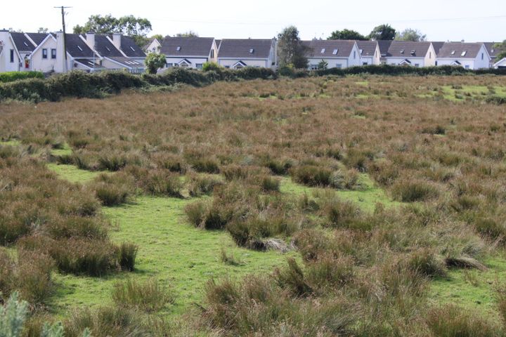 Grange Big 14.9 Ac., Rosslare Strand, Co. Wexford