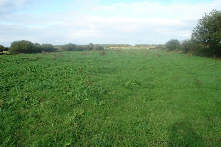 4.5 Acres at Muckenagh, Lixnaw, Co. Kerry