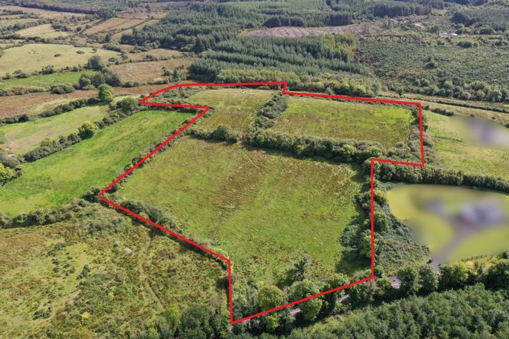 8.5 Acres, Killeen, Gort, Co. Galway