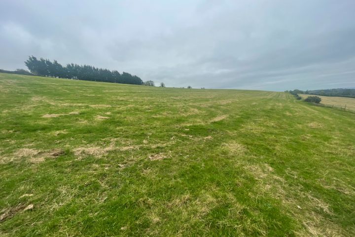 Crookstown Upper, Ballitore, Crookstown, Co. Kildare, R14P684