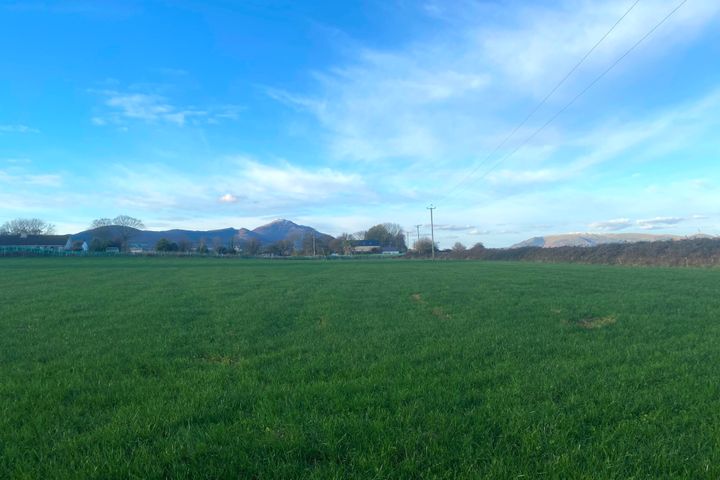 4 Acres Grazing Lands, Templetown, Dundalk, Co. Louth