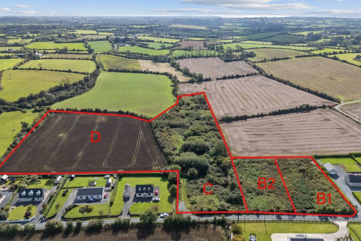 Lot 1, Killesk, Campile, New Ross, Co Wexford