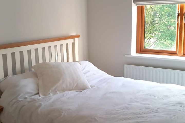 Mungret Woods , Mungret, Co. Limerick